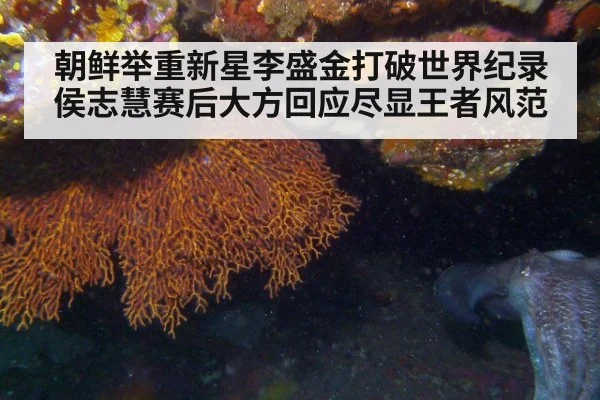 朝鲜举重新星李盛金打破世界纪录 侯志慧赛后大方回应尽显王者风范