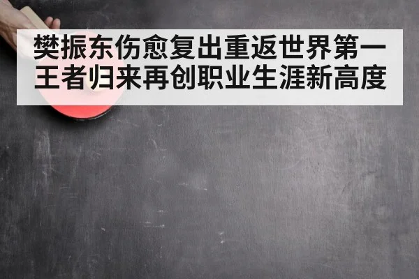 樊振东伤愈复出重返世界第一 王者归来再创职业生涯新高度